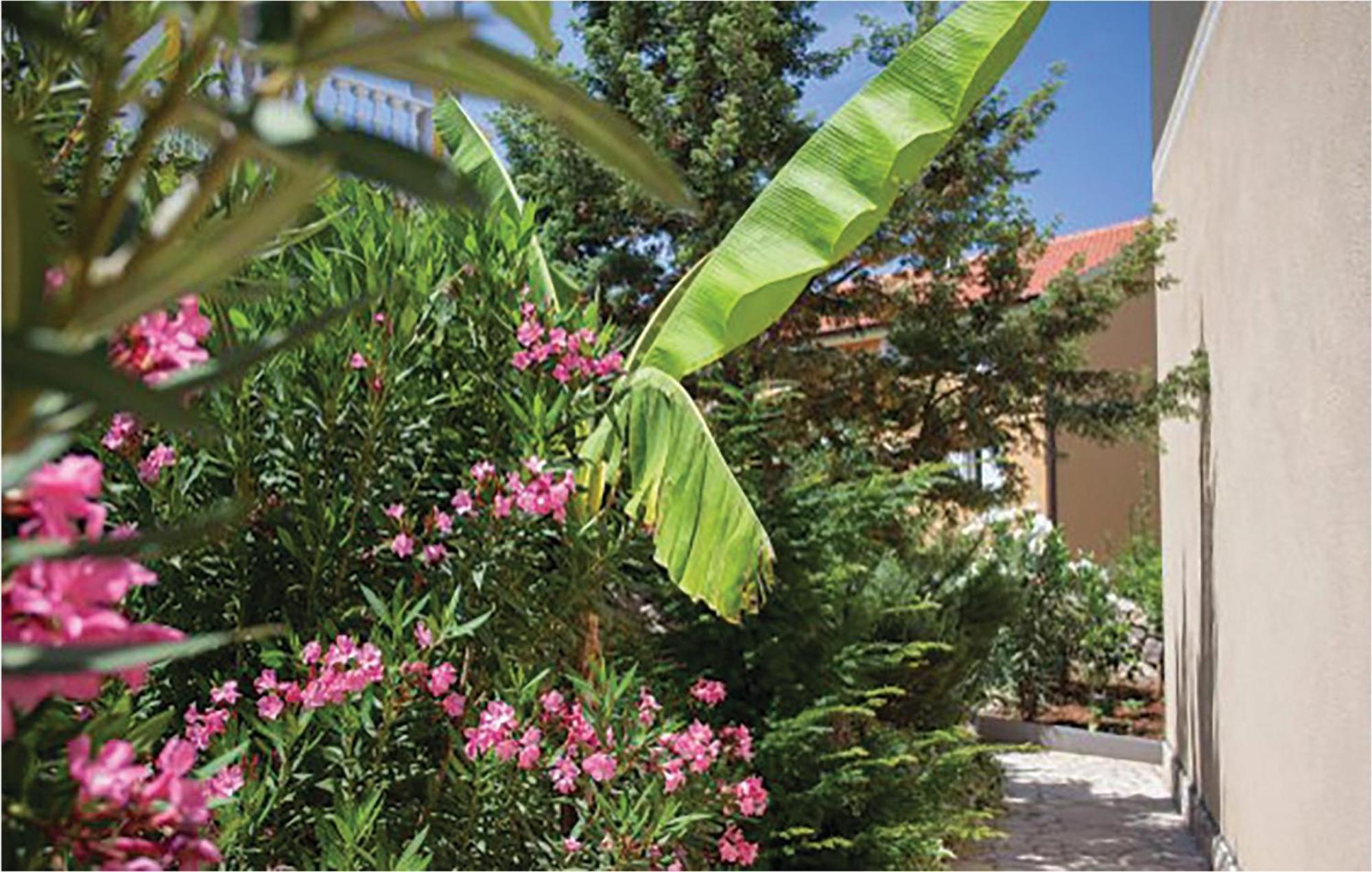 Amazing Apartment In Malinska With Kitchen Εξωτερικό φωτογραφία